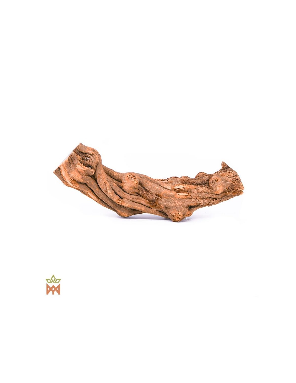 Caapi Caupuri du Brésil - Liane entière décorative, Banisteriopsis Caapi