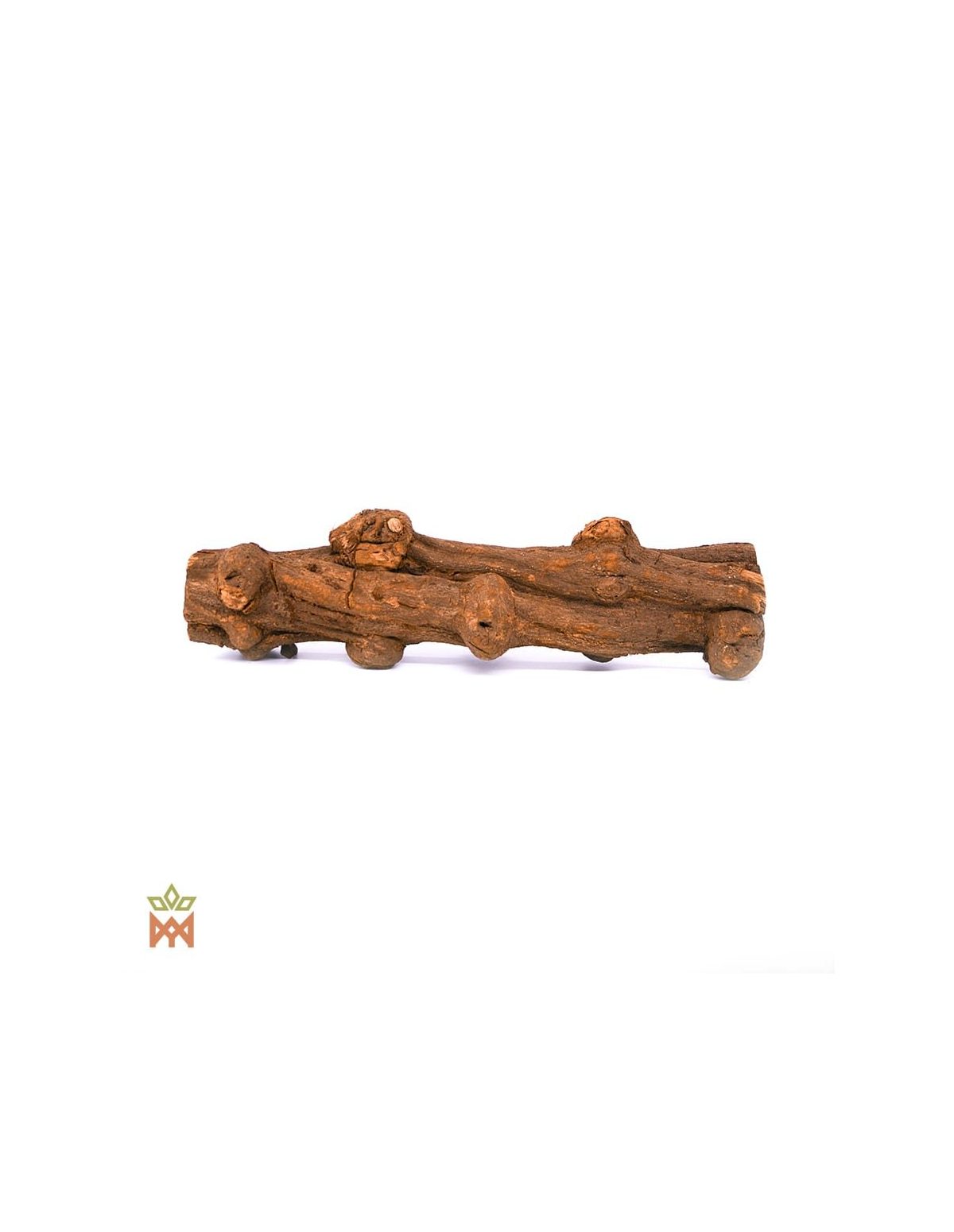 Caapi Caupuri du Brésil - Liane entière décorative, Banisteriopsis Caapi