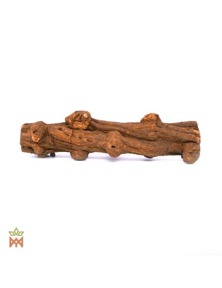 Caapi Caupuri du Brésil - Liane entière décorative, Banisteriopsis Caapi