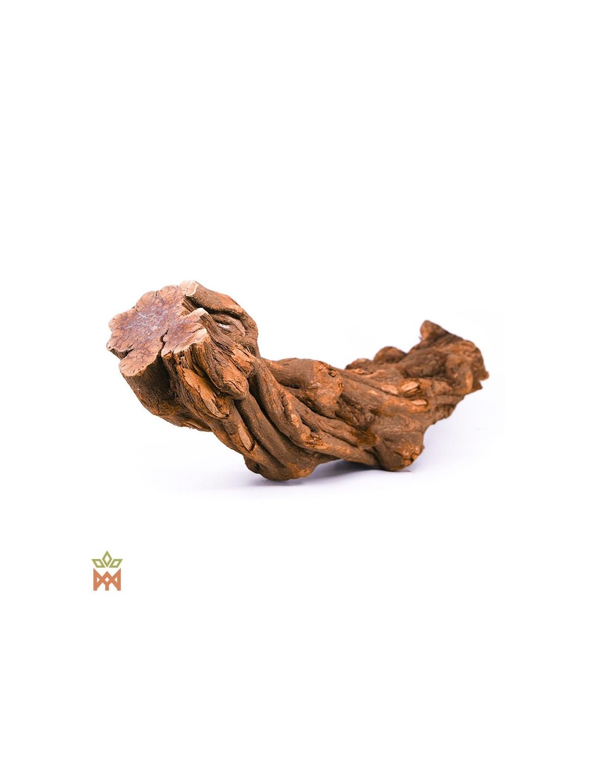 Brazilian Caupuri Caapi - Whole Display Vine, Banisteriopsis Caapi