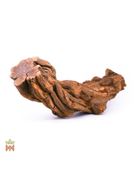 Brazilian Caupuri Caapi - Whole Display Vine, Banisteriopsis Caapi