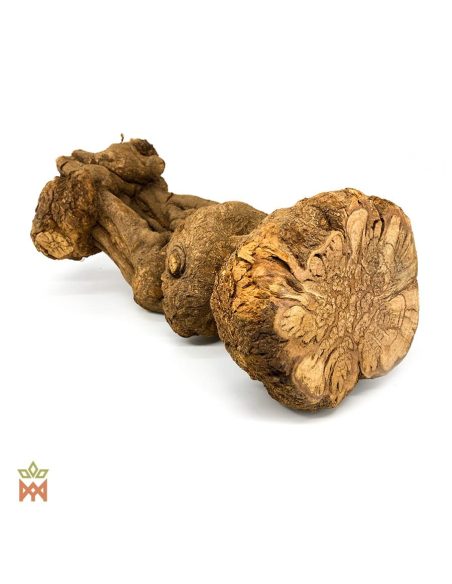 Caupuri-Caapi aus Brasilien - Ganze Dekorationsliane, Banisteriopsis Caapi