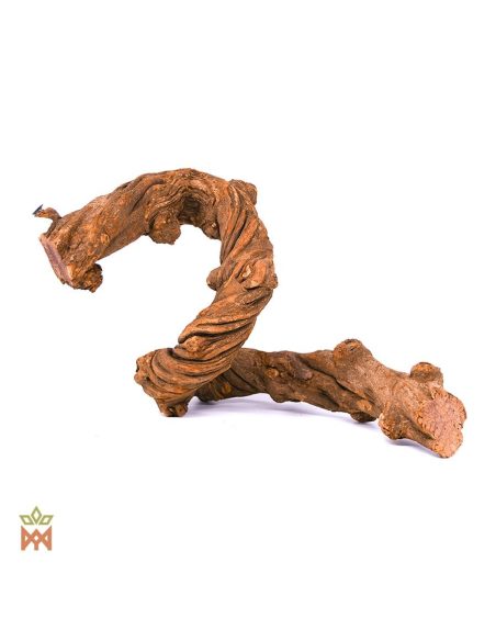Caapi Caupuri du Brésil - Liane entière décorative, Banisteriopsis Caapi