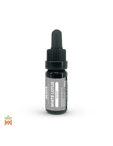 Weiße Seerosen-Tinktur - Pflanzenflüssigkeit 10 ml, Nymphaea lotus