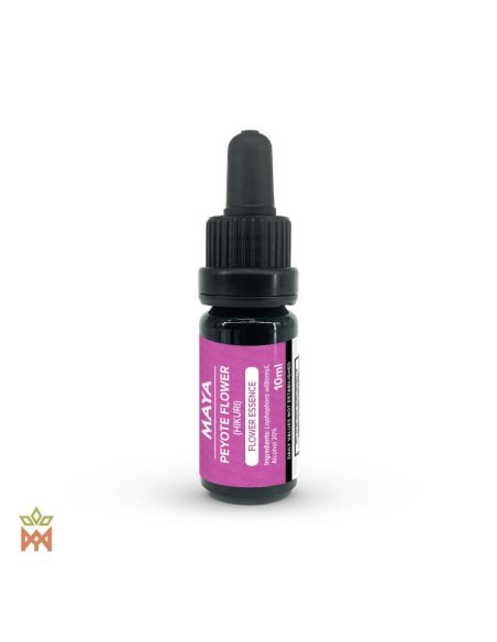 Mexican Peyote Flower Essence - 10 ml Tincture, Lophophora williamsii