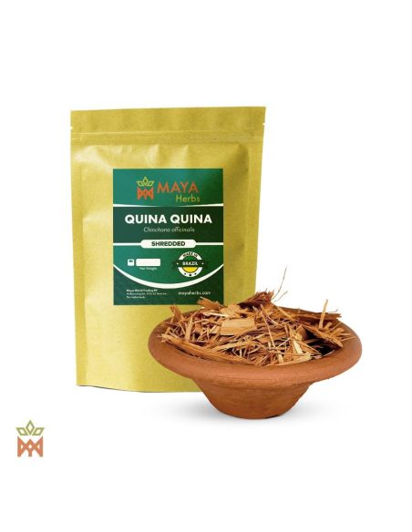 Quina Quina aus Brasilien - Geschnittene Rinde, Cinchona officinalis