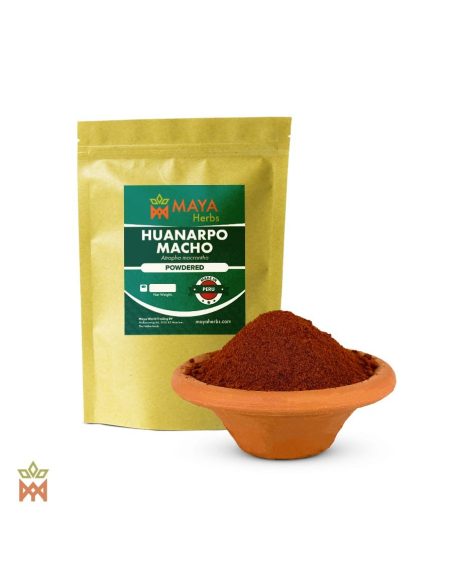 Huanarpo Macho aus Peru - Gemahlene Bulben, Jatropha macrantha