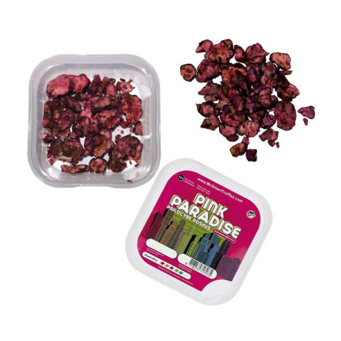 Pink paradise psilocybe roseus  - 1
