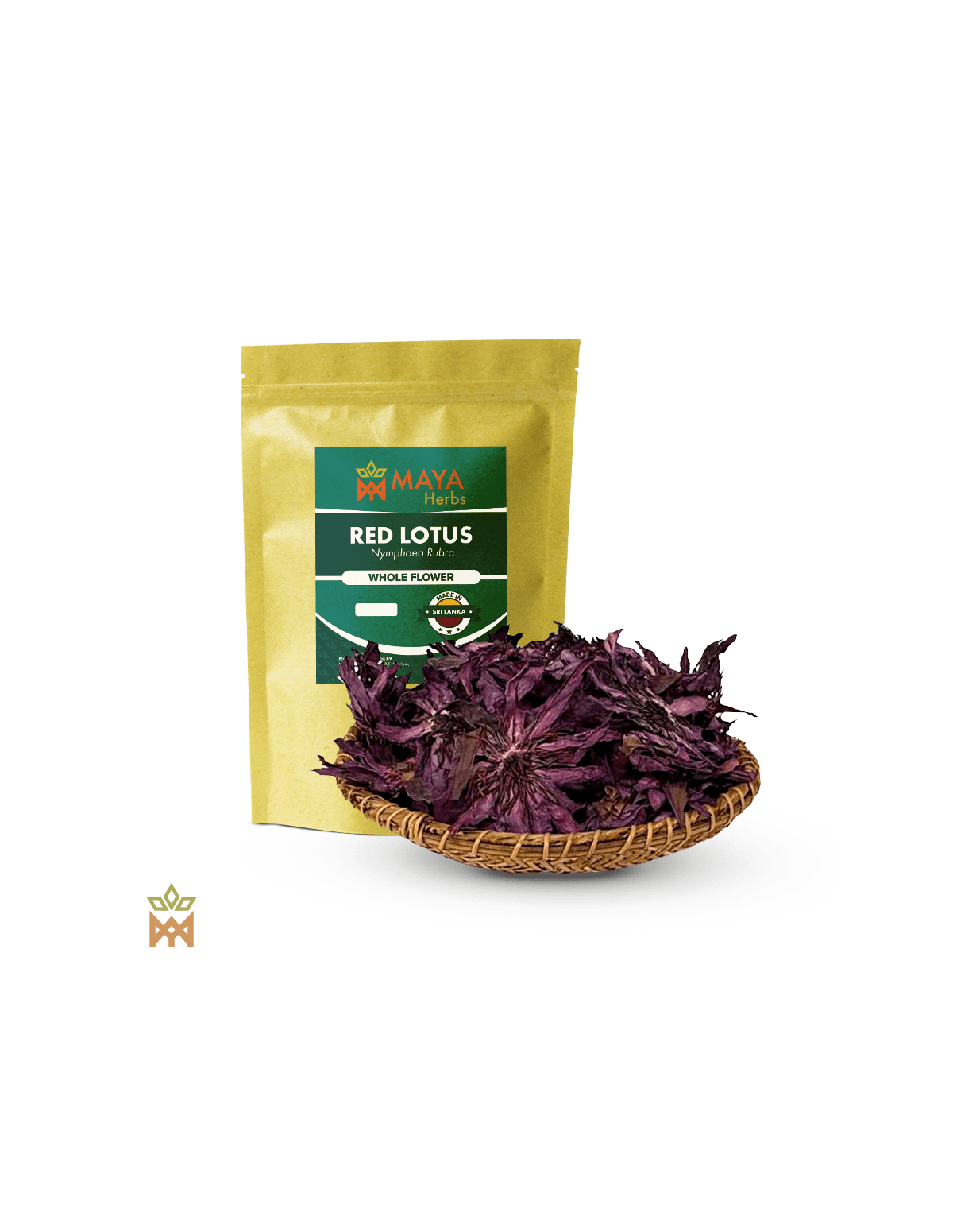 Heiliger Lotus aus Indien - Ganze Blüte, Nelumbo nucifera