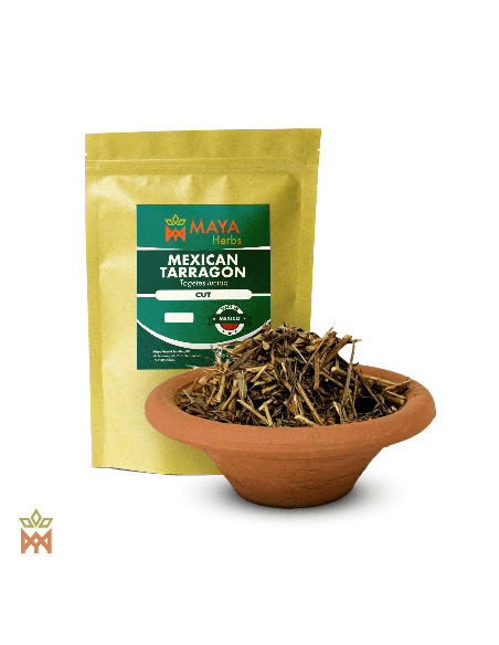 Mexikanischer Estragon aus Mexiko - Geschnittenes Kraut, Tagetes lucida