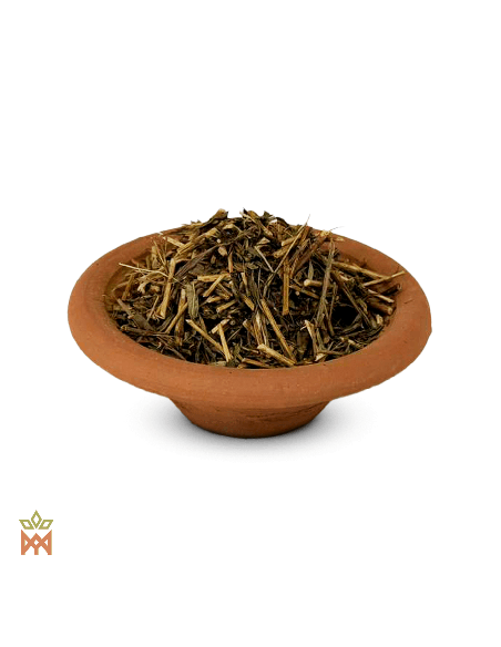 Mexican Tarragon from Mexico - Shredded Herb, Tagetes lucida