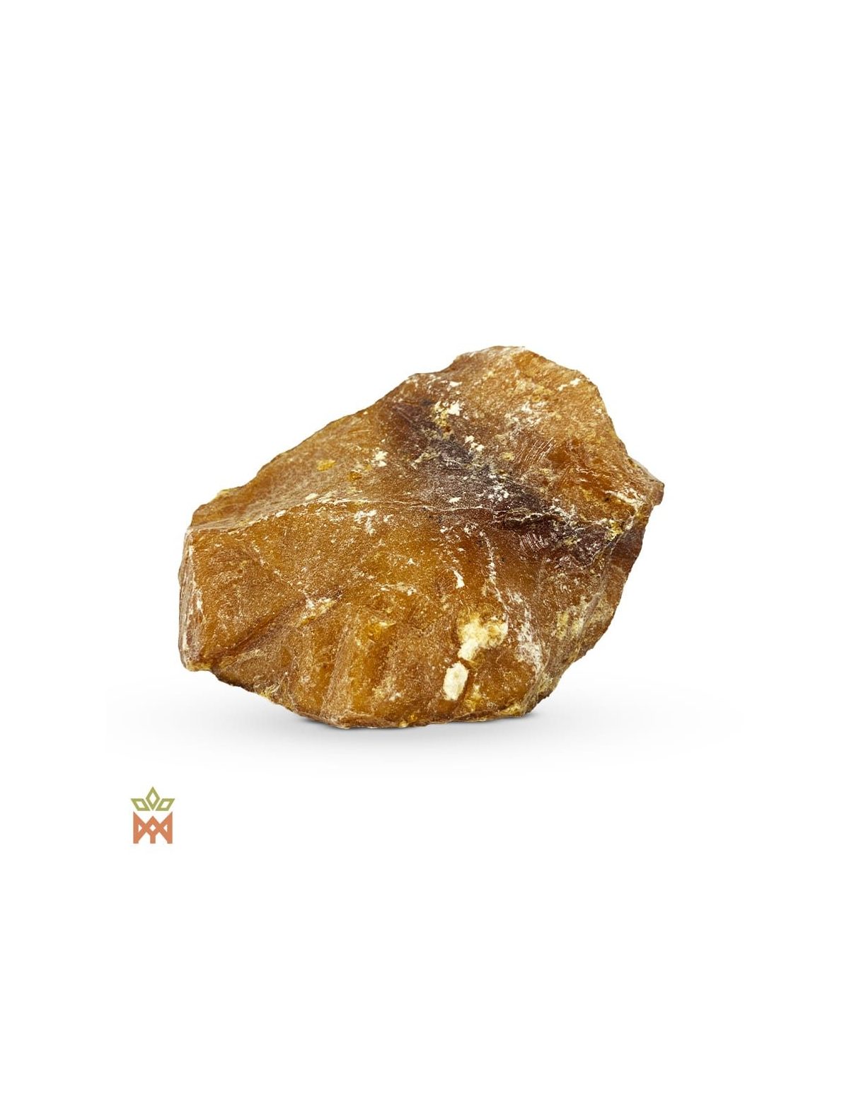 Sapin baumier de France - Résine de sève, Abies balsamea