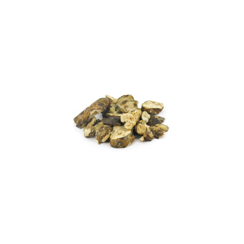 Magic Truffles - Psilocybe UTOPIA - Mycotek 25 GR