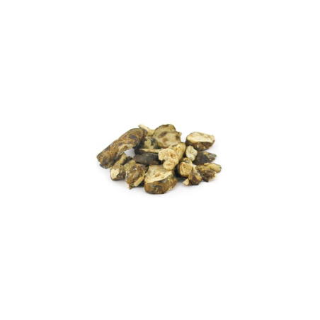 Magic Truffles - Psilocybe UTOPIA - Mycotek 25 GR