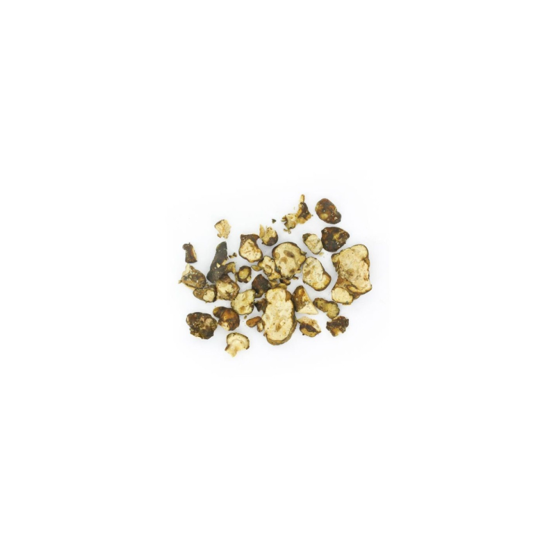 Magic Truffles - Psilocybe UTOPIA - Mycotek 25 GR