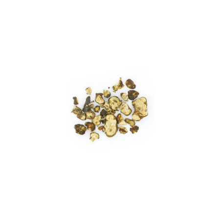 Magic Truffles - Psilocybe UTOPIA - Mycotek 25 GR