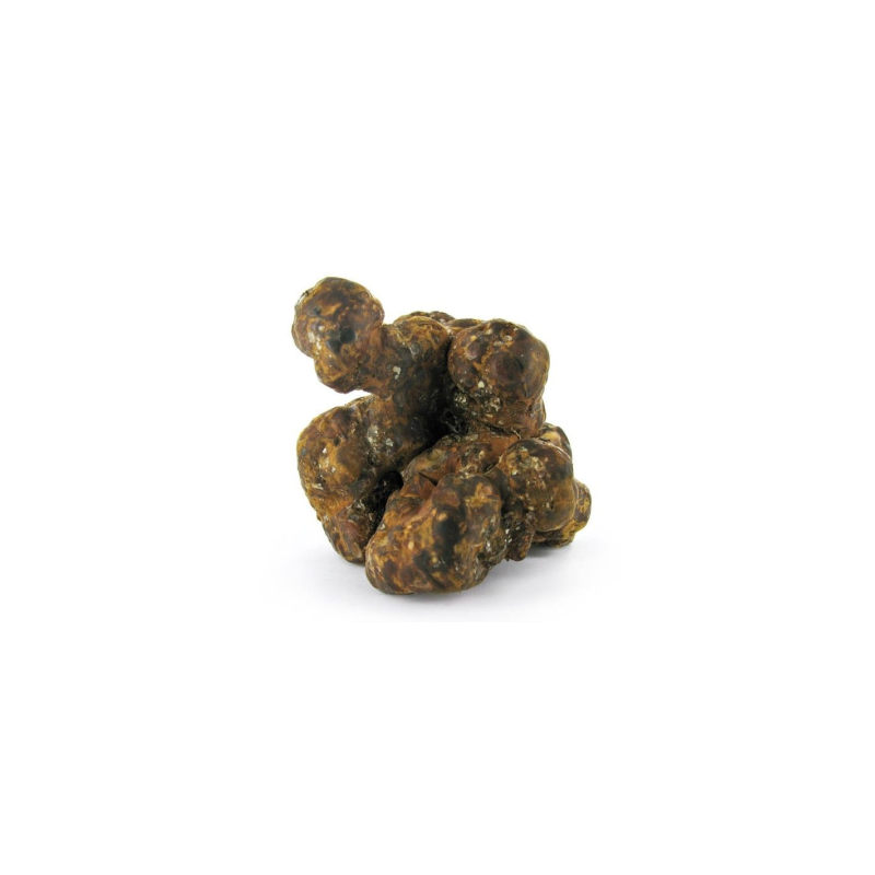 Magic Truffles - Psilocybe UTOPIA - Mycotek 25 GR
