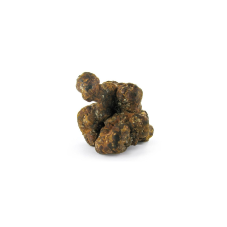 Magic Truffles - Psilocybe UTOPIA - Mycotek 25 GR