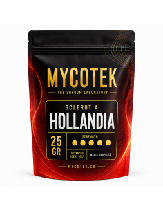 Magic Truffles - Psilocybe HOLLANDIA - Mycotek 25 GR 2