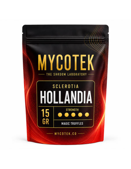 Magic Truffles - Psilocybe HOLLANDIA - Mycotek 15