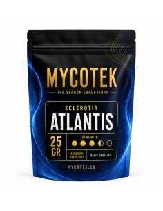 Magic Truffles - Psilocybe ATLANTIS - Mycotek 25 GR 2