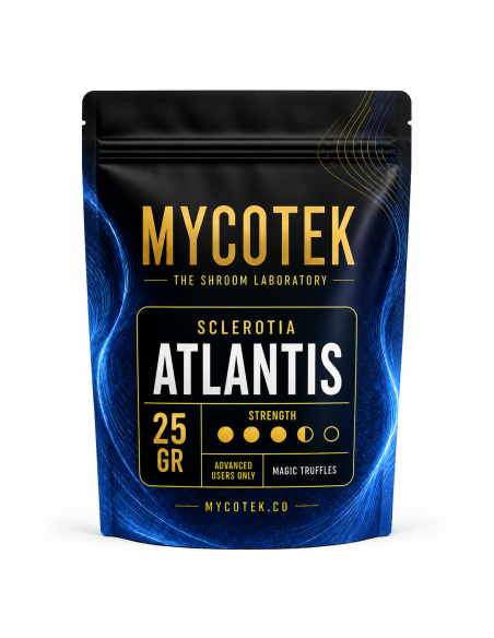 Magic Truffles - Psilocybe ATLANTIS - Mycotek 25 GR