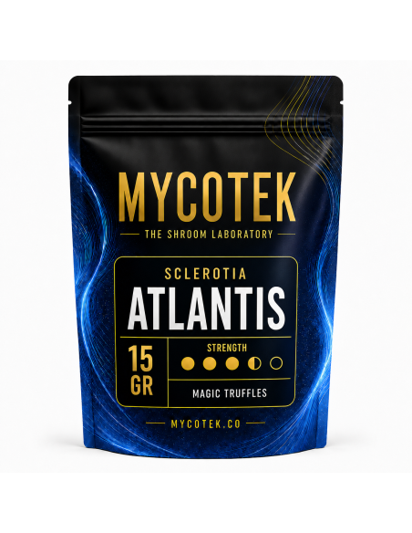 Magic Truffles - Psilocybe ATLANTIS - Mycotek 15