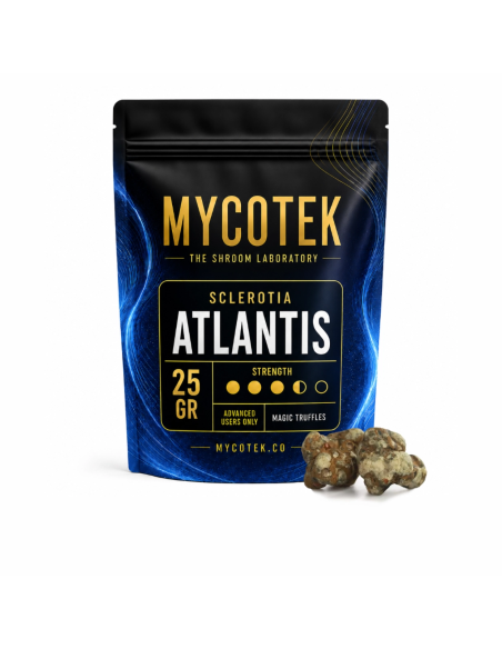 Magic Truffles - Psilocybe ATLANTIS - Mycotek 25 GR