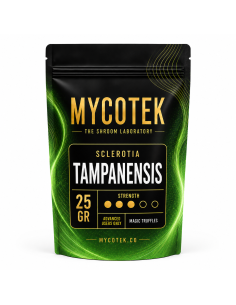 Magic Truffles - Psilocybe TAMPANENSIS - Mycotek 25 GR 2