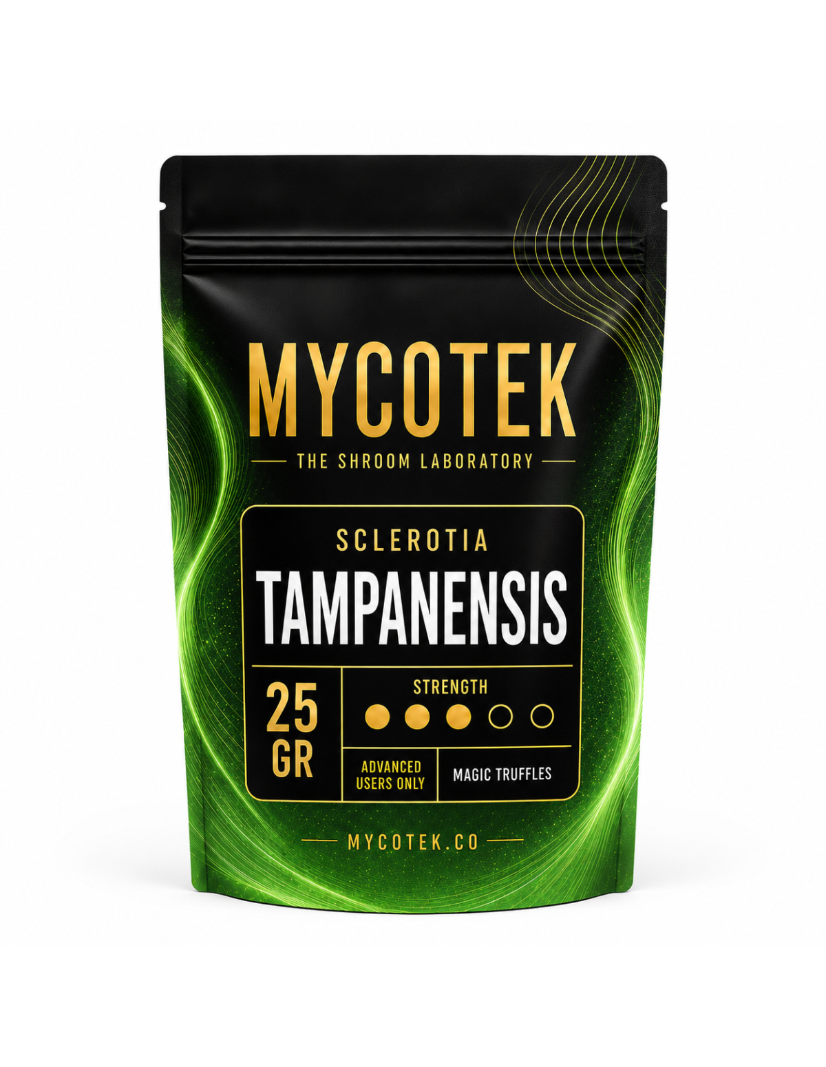 Magic Truffles - Psilocybe TAMPANENSIS - Mycotek 25