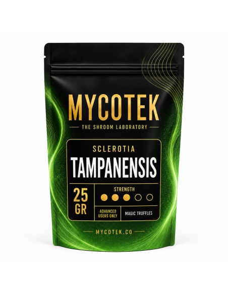 Magic Truffles - Psilocybe TAMPANENSIS - Mycotek 25 GR