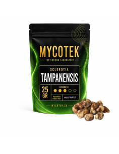 Magic Truffles - Psilocybe TAMPANENSIS - Mycotek 25 GR