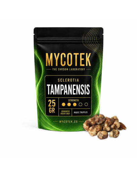 Magic Truffles - Psilocybe TAMPANENSIS - Mycotek 25 GR