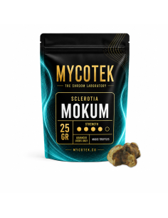 Magic Truffles - Psilocybe MOKUM - Mycotek 25 GR