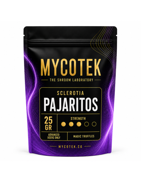 Magic Truffles - Psilocybe PAJARITOS - Mycotek 25
