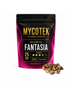 Magic Truffles - Psilocybe FANTASIA - Mycotek 25 GR