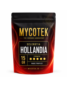 Magic Truffles - Psilocybe HOLLANDIA - Mycotek 15 GR 2