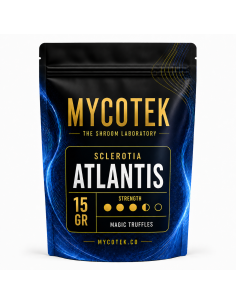 Magic Truffles - Psilocybe ATLANTIS - Mycotek 15 GR 2