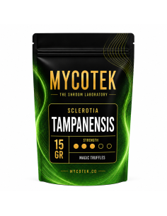 Magic Truffles - Psilocybe TAMPANENSIS - Mycotek 15 GR 2