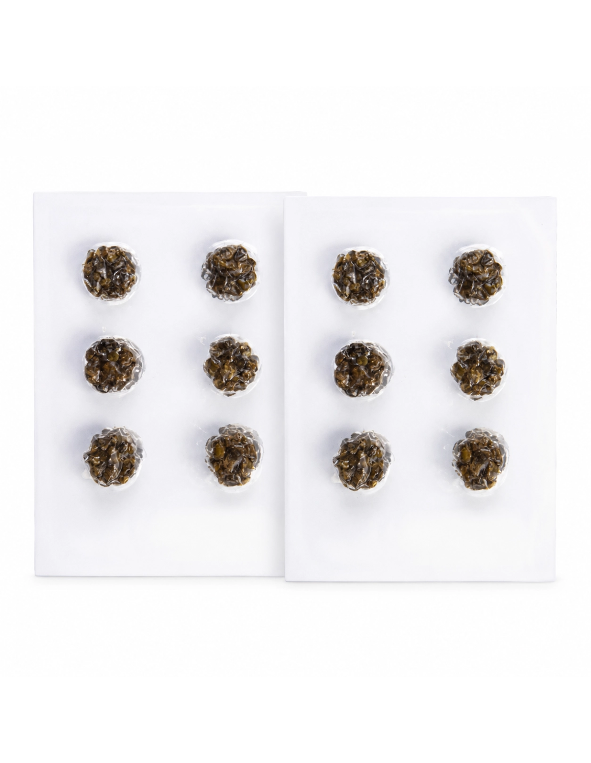 FREE GIFT : TWO PACKS of  6x Microdose Truffle