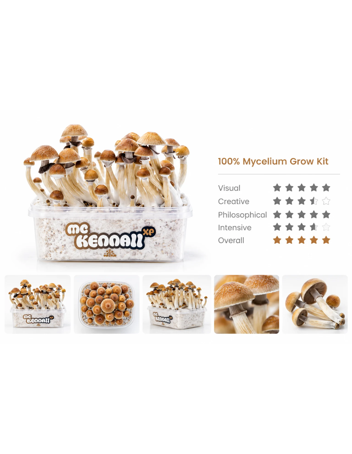 Fresh Mushrooms Growkit - MCKENNAII
