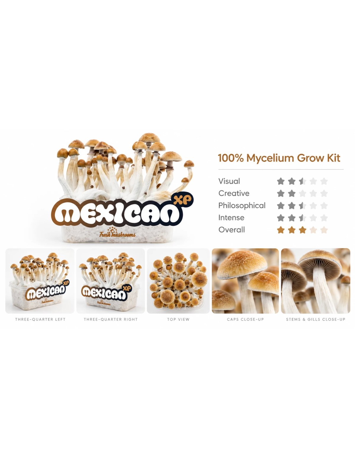 Fresh Mushrooms Growkit - MEXICAN