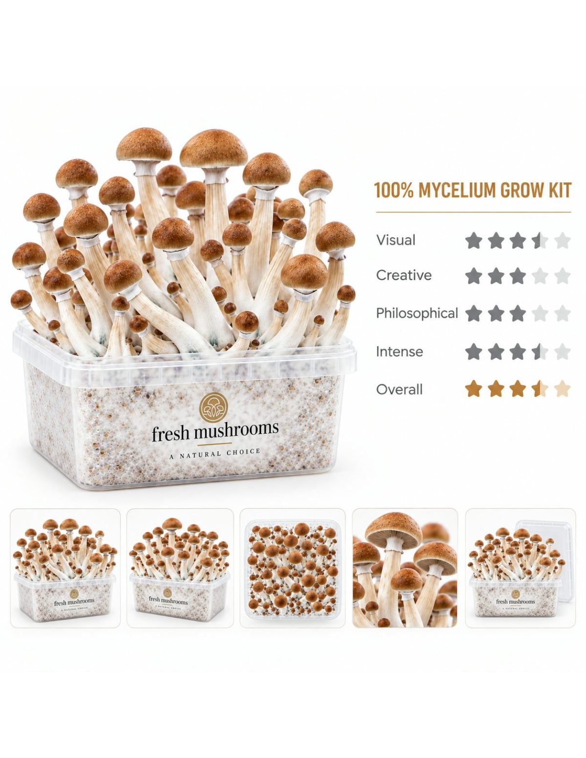 Fresh Mushrooms Grow Kit B+, 1200 ml – main view and five smaller views