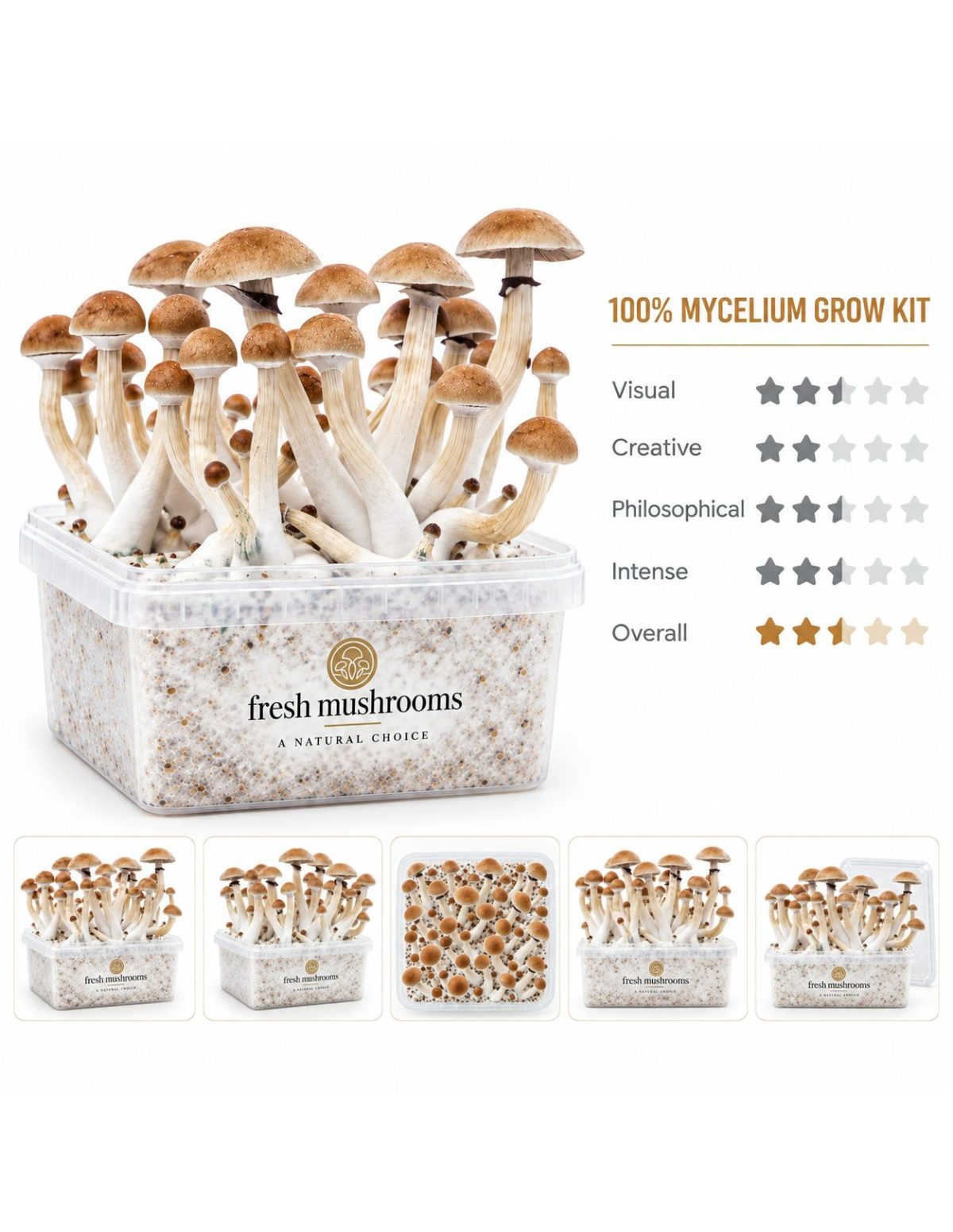 Fresh Mushrooms Grow Kit Thai, 1200 ml – main view and five smaller views of the kit
