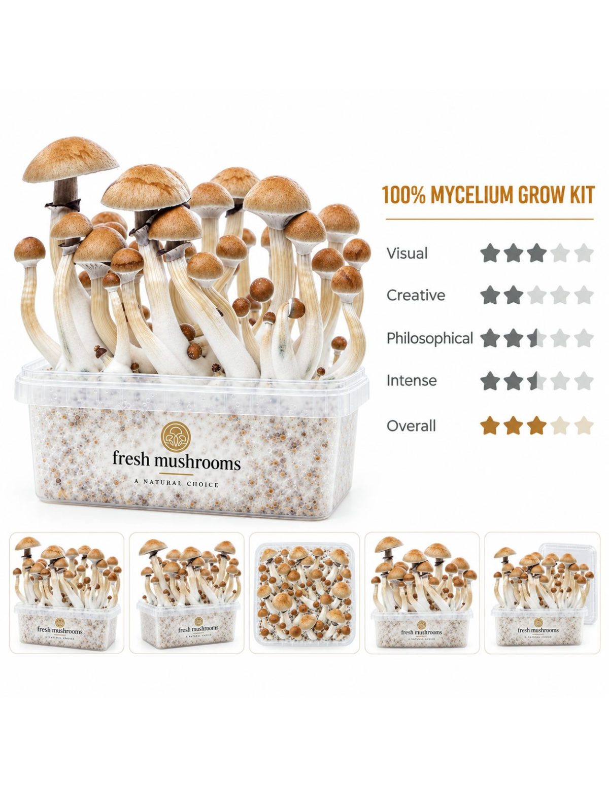 Fresh Mushrooms Grow Kit Cambodian, 1200 ml – kit and five smaller views