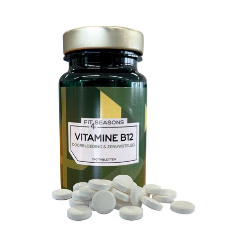 Vitamin B12 – 240 tablets
