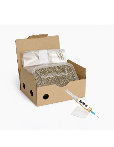 Psilocybe RUSTY WHITE – Mycotek Inject & Forget Growkit