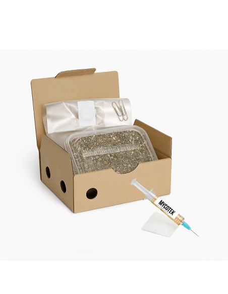 Psilocybe RUSTY WHITE – Mycotek Inject & Forget Growkit