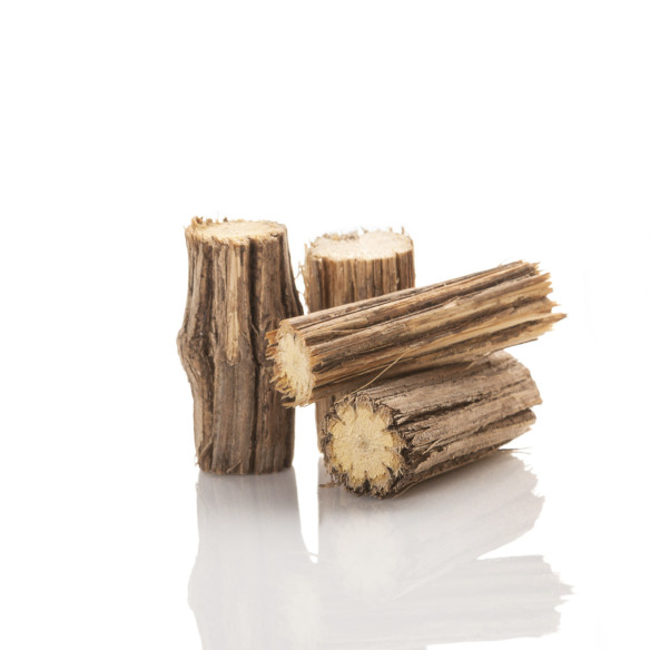 African dream root African dream root