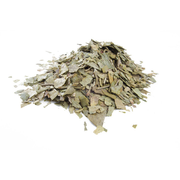 Ginkgo (Ginkgo biloba) Ginkgo (Ginkgo biloba)